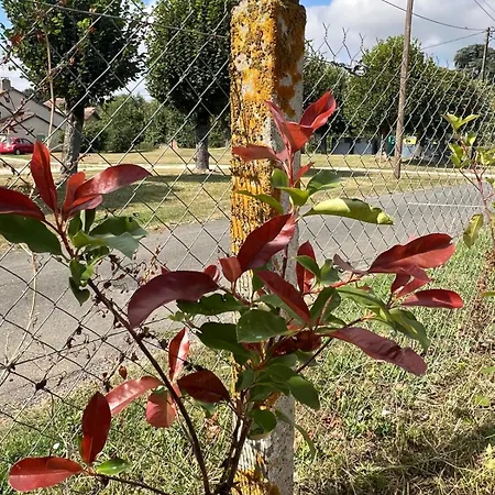 Vigne - On A Vineyard, Overlooking The Vines In 2 Bedroomed Semesterbostad