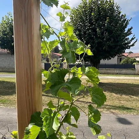 Vigne - On A Vineyard, Overlooking The Vines In 2 Bedroomed Savigne