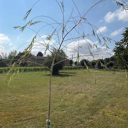 Vigne - On A Vineyard, Overlooking The Vines In 2 Bedroomed *