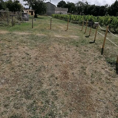 Vigne - On A Vineyard, Overlooking The Vines In 2 Bedroomed *